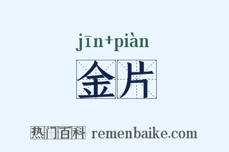 金片是什么意思的图片